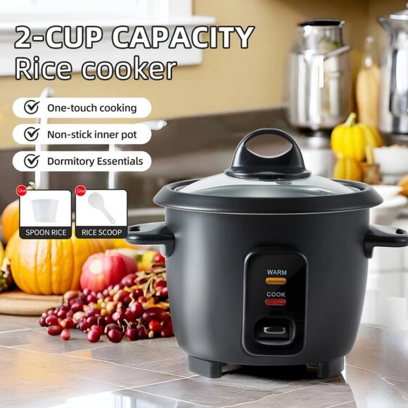 Mishcdea 2-Cup Black Rice Cooker - Quick & Easy Clean, Non-Stick Liner One-Touch
